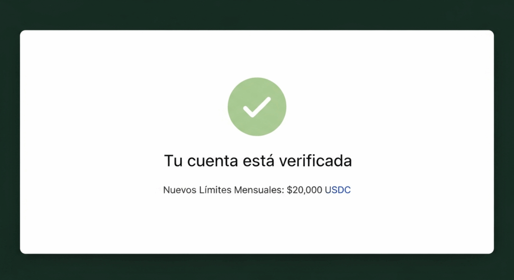 ➤ Guía Visual Detallada: El Proceso de Verificación de Principio a Fin